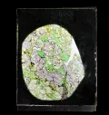 Фрагмент ксенолита гранатового пироксенита из кимберлита в прозрачном шлифе. Кимберлитовая трубка Обнажённая (Якутия, Россия)