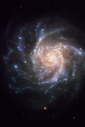 Спиральная галактика NGC 1376