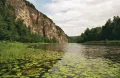 Кувшинки на реке Ай (Республика Башкортостан, Россия)