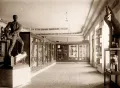 Экспозиция Музея антропологии в 1931–1938. Место человека среди животных