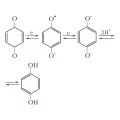 Схема образования двухатомного фенола на примере 1,4-бензохинона