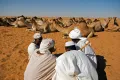 Омдурман (Судан). Выпас верблюдов в окрестностях города
