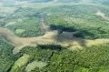 Остров Маражо в дельте Амазонки (Бразилия)