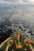Ледовый караван в Карском море (Россия)