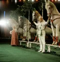 Людмила Котова и Юрий Ермолаев в конно-танцевальной сюите «Русские берёзки». 1969