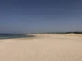 Литоральные отложения (пески). Пляж югу от г. Хайфа (Израиль)