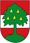 Дорнбирн (Австрия). Герб города