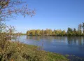 Река Селемджа. Норский заповедник (Амурская область)