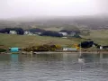 Остров Вест-Пойнт (Фолклендские острова)