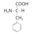 Структурная формула фенилаланина