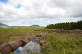 Торфяное болото (Ирландия)