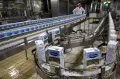 Производство молока марки «Савушкин продукт». Брест (Республика Беларусь)