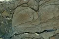Строматолит юрского периода