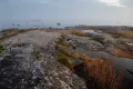 Отпрепарированные ледниковой экзарацией породы Балтийского щита на побережье Белого моря (Республика Карелия, Россия)