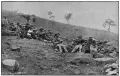 Войска буров, осаждающие Ледисмит. Колония Наталь. Между ноябрём 1899 и февралём 1900