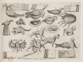 Схемы для декоративного складывания салфеток. Иллюстрация из трактата: Giegher. M. Li Tre trattati di Messer Mattia Giegher, bavaro di Mosburg. Padova, 1639