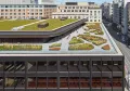Сад на крыше Мемориальной библиотеки имени Мартина Лютера Кинга, Вашингтон. 2017–2020. Архитектурное бюро Mecanoo