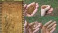 Полевой метод исследования почвы