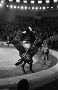 Дрессировщик лошадей Юрий Ермолаев. Конно-балетная сюита «Штраусиана». 1965