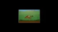 Кадр из видеоигры «Sid Meier’s Civilization». Разработчик MPS Labs. 1991