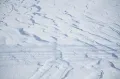 Наст на поверхности снежного покрова