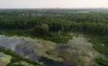 Яузские болота в национальном парке Лосиный Остров