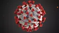 Атомарная модель коронавируса SARS-CoV-2