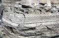 Гипс (с тёмными прослоями кальцита) с минискладчатой текстурой, верхняя пермь (Нью-Мексико, США)