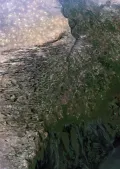 Бэровские бугры в дельте Волги (Астраханская область)