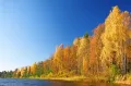 Осенний пейзаж (Ленинградская область, Россия)