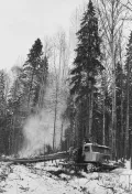 Механизация лесозаготовительных процессов. Коми АССР