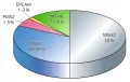 Диаграмма процентного соотношения мутаций в генах при синдроме Линча