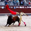 Коррида. Традиционная испанская форма боя быков