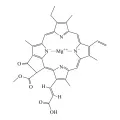 Структурная формула хлорофилла c₁