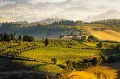 Италия. Виноградники в Тоскане