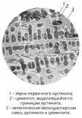 Микроструктура белого чугуна с 3 % (по массе) углерода, полученная с помощью металлографического микроскопа (увеличение х200)