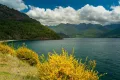 Восточное побережье озера Пангипульи (Чили)