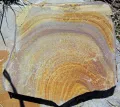 Кольца Лизеганга в каменноугольных песчаниках (Миссисипская подсистема), штат Огайо (США)
