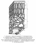 Схематическое изображение анатомического строения листа