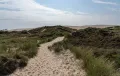 Прибрежная дюна Råbjerg Mile на полуострове Ютландия (Дания)
