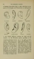 Метод атрибуции Джованни Морелли, основанный на анализе мочки уха. Иллюстрация из книги: Morelli G. Italian painters. C
