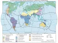 Ботанико-географические царства и подцарства