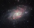 Галактика Треугольника (M33)