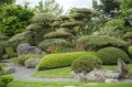 Японский сад. Ниваки