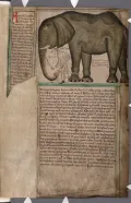 Слон, подаренный королём Франции Людовиком IX королю Англии Генриху III. Миниатюра из рукописи Матвея Парижского «История англов». 13 в.