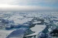 Паковый лёд в Северном Ледовитом океане (Россия)