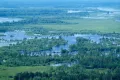 Низинные болота Западной Сибири (Россия)