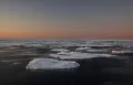 Гренландское море Северного Ледовитого океана