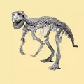 Скелет пситтакозавра. Реконструкция