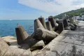 Берегозащитные тетраподы на берегу моря